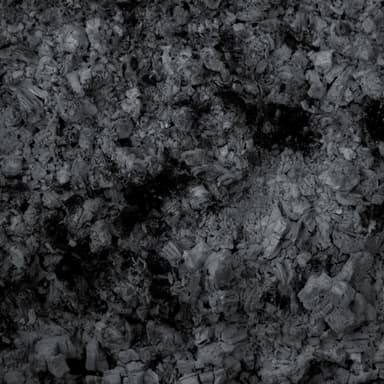 Activated Charcoal